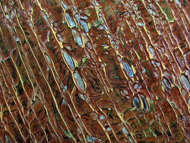 downpourdetail.jpg